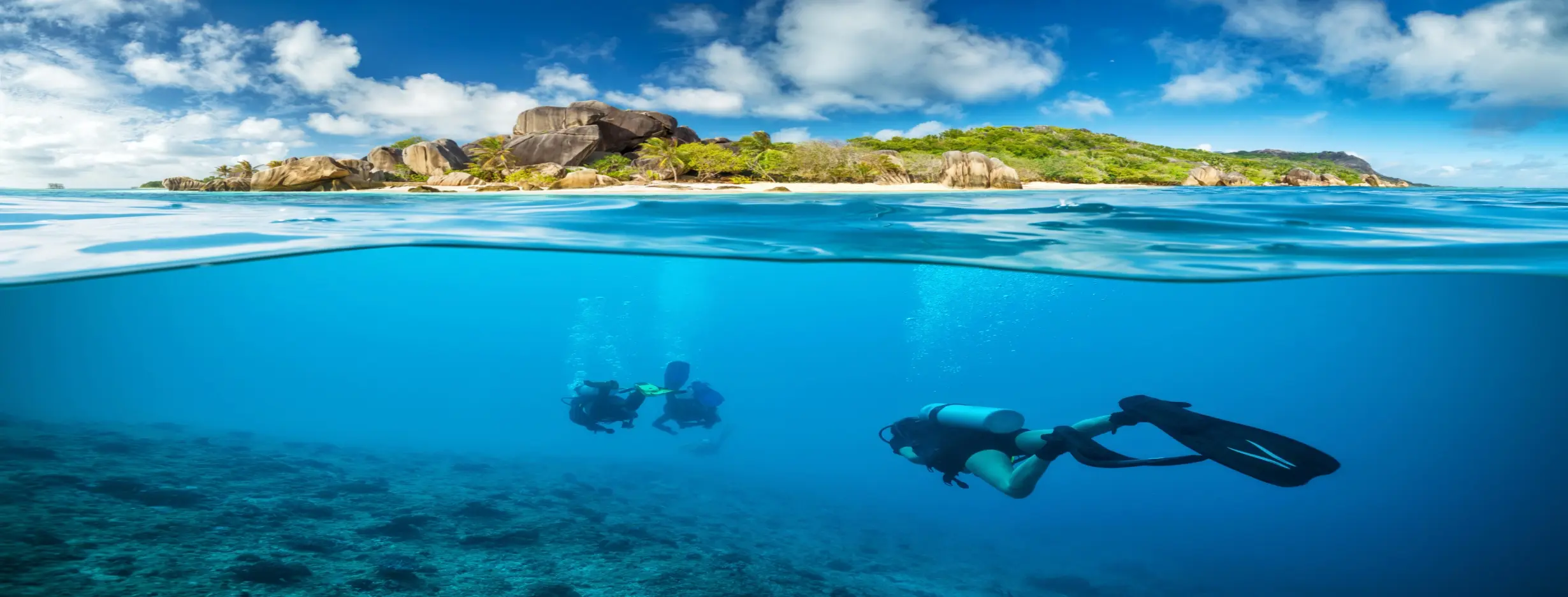 Image for Dive Haven